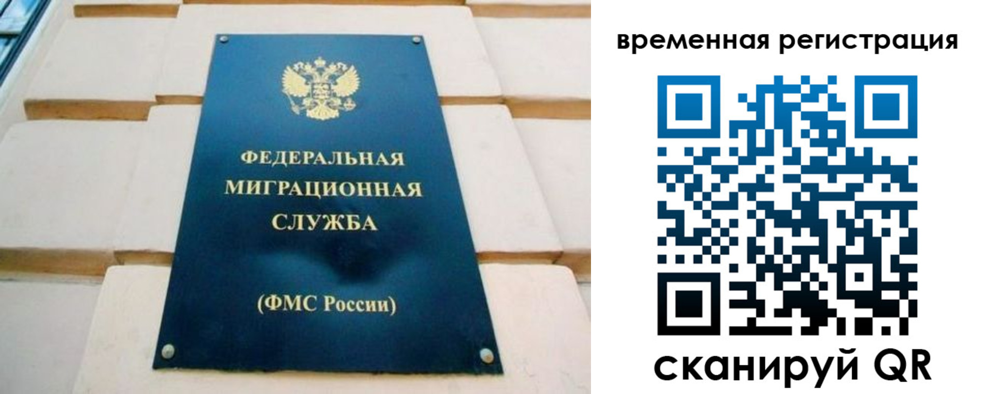 прописка гарантия в Горняке